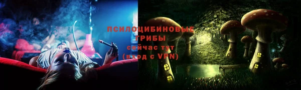 гашик Богородск