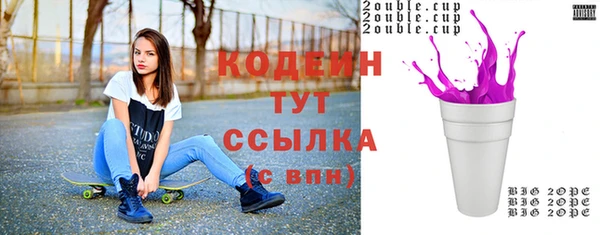 амф Бородино