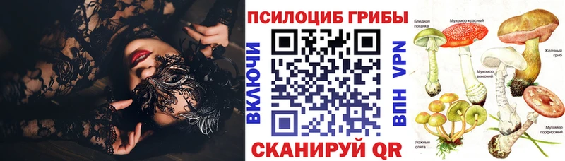 продажа наркотиков  hydra рабочий сайт  Галлюциногенные грибы мухоморы  Егорьевск 